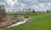 Trail Walking Dendermonde - Dendermonde Moerzeke 19,5 km - Photo 11
