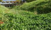 Percorso A piedi Gemeinde Mistelbach - Kettlasbrunn: Rundwanderweg Satzer Hölzl - Photo 8