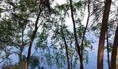 Trail Walking Waimes - Au fil des rives du Lac   - Photo 3