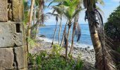 Tour Wandern Le Lorrain - Boucle Dorival, Crabière, Bon Repos, Man Ti-Fre, Savon - Photo 15