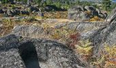 Tour Zu Fuß U.F Celorico, São Pedro e Santa Maria e Vila Boa do Mondego - Trilho de São Gens - Photo 10