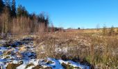 Tour Wandern La Roche-en-Ardenne - Samree 130125 - Photo 4