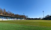 Tour Zu Fuß Neidenstein - Wanderweg Menachem und Fred, Neidenstein - Hoffenheim - Photo 3