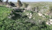 Excursión A pie מועצה אזורית בני שמעון - IL-continues northeast - route uncertain - Photo 5