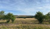 Trail Walking Saint-Pierre-la-Bourlhonne - Col du Beal  - Photo 9