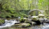 Randonnée Marche Olloix - Olloix_Gorges_Monne - Photo 1