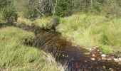 Excursión Senderismo Malmedy - Les fagnes en été - Photo 3