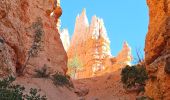 Excursión Senderismo Unknown - 2024 Bryce Canyon Queen's Trail - Photo 15