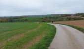 Tour Wandern Châtelet - Marche éphémères Ecureuil - Photo 10