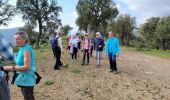Percorso Marcia Roquebrune-sur-Argens - Les Vallons de la Gaillarde et les ruines de Roqueyrol - Photo 7