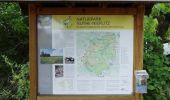 Tour Zu Fuß Beelitz - Rundwanderweg Riebener See - Photo 2