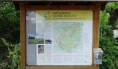 Trail On foot Beelitz - Rundwanderweg Riebener See - Photo 2