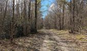 Tour Wandern Continvoir - Continvoir - GRP Coteaux de Bourgueil - Gizeux - 28.5km 345m 6h20 (1h) - 2025 04 17 - Photo 2