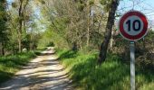 Excursión Senderismo Seur - seur.cande sur beuvron.chailles.seur - Photo 17