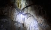 Trail Walking Bouvante - Serre Montué par la grotte du Berger, la pas de l'Infernet en circuit partiel - Photo 11