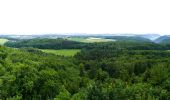 Excursión A pie Gomadingen - Römerstein - Böhringen - Hengen - Photo 6