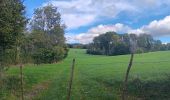 Trail Walking Sprimont - autour de dolembreux  - Photo 20