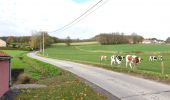 Tocht Elektrische fiets Ronse - Parcours 2/2 similaire au  Fiertel (2eme partie) - Photo 10