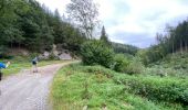 Tour Wandern Vresse-sur-Semois - Rochehaut 25 km - Photo 17