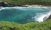 Randonnée Marche Anse-Bertrand - Anse-Bertrand porte d’enfer  - Photo 3