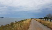 Tocht Fietstoerisme Saintes-Maries-de-la-Mer - Stes Maries de la Mer  -  Sète - Photo 9