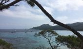 Trail Walking Hyères - Porquerolle côté Est (Pointe des Mèdes) - Photo 7