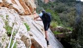 Tour Zu Fuß Cabasse - SityTrail - Autour de Cabasse - Photo 18