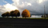 Tocht Stappen Dalhem - fendeur pépère  - Photo 4