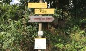 Tour Wandern Murol - Murol les grottes de Rabat (6,8 km - D. 259 m) - Photo 7