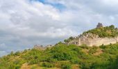 Trail Walking Saint-Péray - balcon et chÃ¢teau de Crussol, aller via versant RhÃ´ne et Vercors / retour via versant Ardeche - Photo 18
