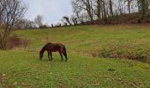 Excursión Senderismo Florennes - Balade à Hanzinelle - Photo 8