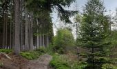 Trail Walking Spa - spa gué des artistes. malchamps . ligne 44 . niveze - Photo 12