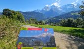 Tour Wandern Saint-Gervais-les-Bains - J17 - R16 - Le Plan de la Croix - Bettex - Photo 4