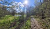 Trail Walking Rochefort - rando belvaux 28-04-2023 - Photo 7