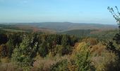 Trail On foot Nieste - Nieste - Fuhrmannstein - Photo 4