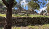 Excursión Senderismo Argelès-sur-Mer - Mas Cristina: Par les trois mas - Photo 4