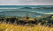 Randonnée A pied Mistelgau - Obernsees Neubürg-Rundweg - Photo 4