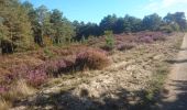 Tour Wandern Fontainebleau - les grands feullards - Photo 3