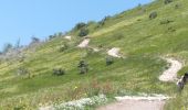 Excursión Senderismo La Chaudière - Le tour des Trois Becs (à l'envers) - Photo 5