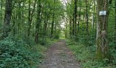 Tour Wandern Autrèche - Autrèche - Photo 4