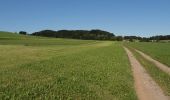 Tocht Te voet Eggelsberg - Panoramaweg - Photo 7