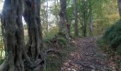 Trail Walking Sprimont - banneux . fraipont . nessonvaux . trasenster . banneux - Photo 8