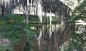 Excursión Senderismo Sceaux - parc de Sceaux, arboretum,vallée aux loups,parc Henri Sellier,etang Colbert,bois de la Garenne - Photo 5