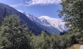 Tour Wandern Chamonix-Mont-Blanc - Argentiere Chamonix  - Photo 2