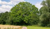 Tour Zu Fuß Beverungen - Galgenberg-Drenke-Selsberg - Photo 1