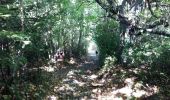 Trail On foot Barbazan - BARBAZAN  le refuge saint-martin G3 Fait 