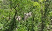 Randonnée Vélo électrique Meyrueis - Meyrueis - Méjean - Tarn - Jonte - Meyrueis - Photo 1