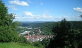 Tour Zu Fuß Oberndorf am Neckar - Oberndorf - Schenkenzell - Photo 1