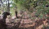 Tocht Stappen Valorbiquet - La Chapelle Yvon  - Photo 11