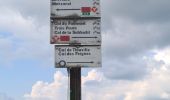 Trail Walking Stosswihr - Honeck depuis Gaschney - Photo 12